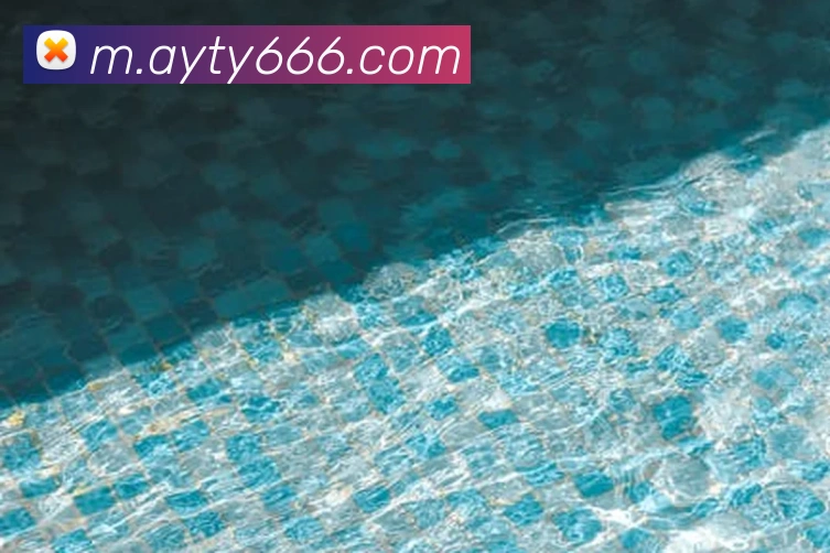 国际认证